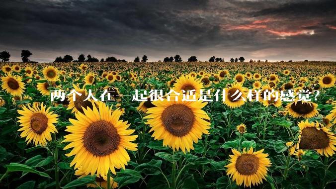 两个人在一起很合适是什么样的感觉？