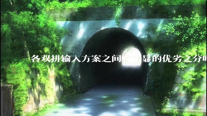 各双拼输入方案之间有明显的优劣之分吗？